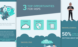 MSPs top opportunities