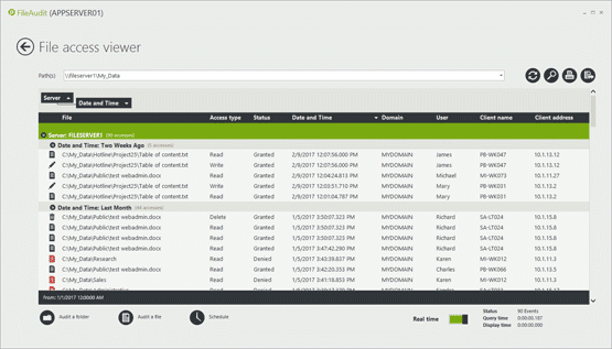 File Access Viewer